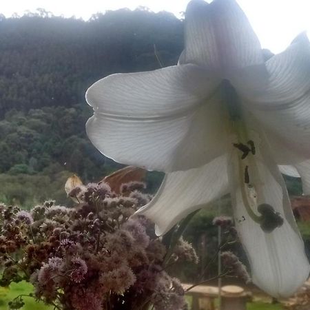 Morada Rancho Da Lua Bed and Breakfast Monte Verde  Εξωτερικό φωτογραφία