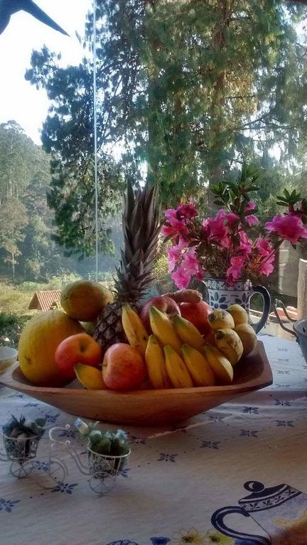 Morada Rancho Da Lua Bed and Breakfast Monte Verde  Εξωτερικό φωτογραφία