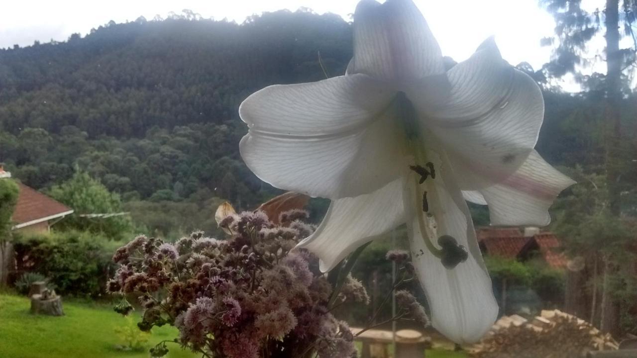 Morada Rancho Da Lua Bed and Breakfast Monte Verde  Εξωτερικό φωτογραφία